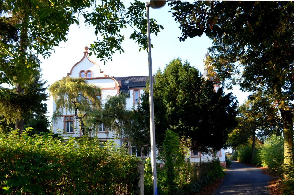 Bad Münster am Stein, Lindenallee 3 (1)