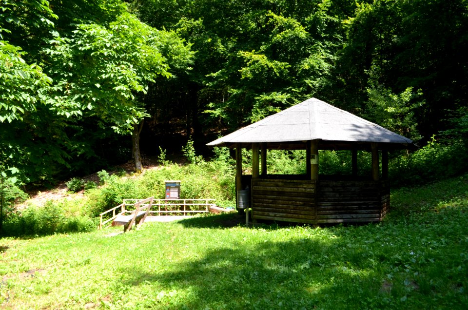 Bad Camberg, Wassertretanlage Eichbornsbach(4)