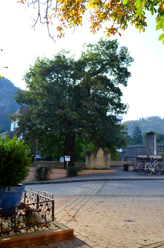 Bad Münster am Stein, Goetheplatz, Friedenseiche und Denkmal