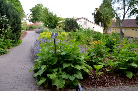 Bad Camberg, Kurpark, Kräutergarten