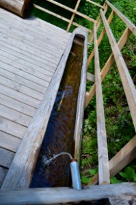 Bad Camberg, Wassertretanlage Eichbornsbach (3)