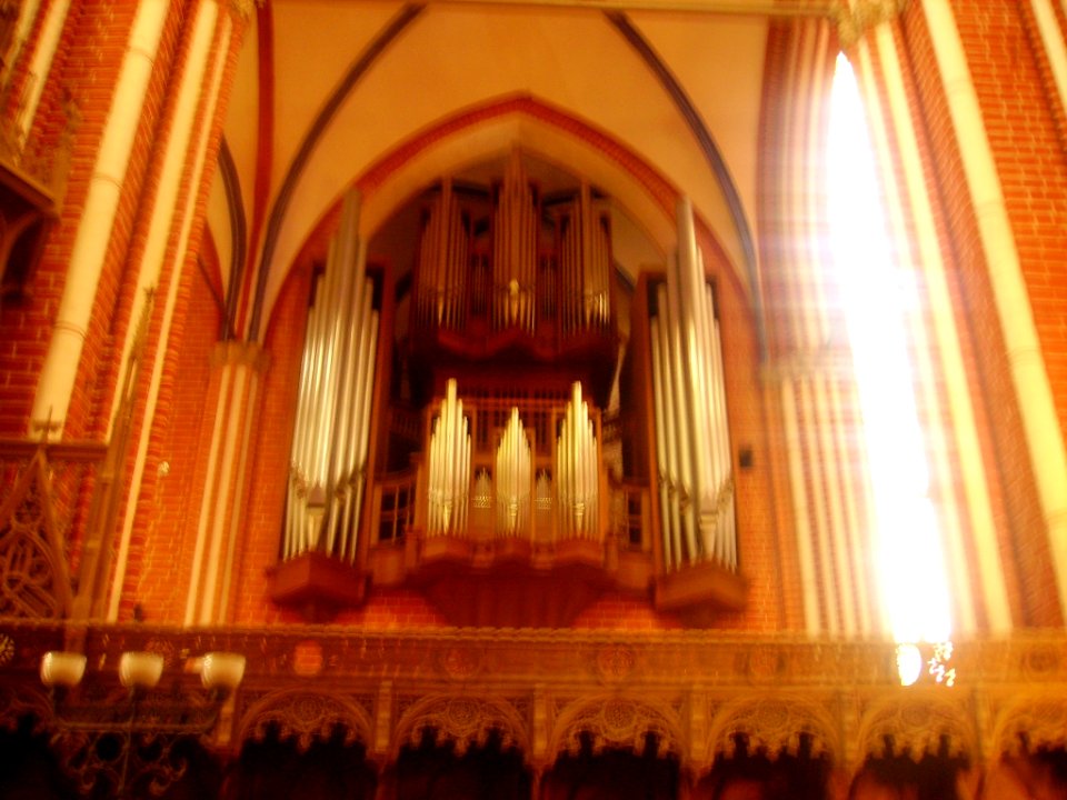 Bad Doberan Münster Innen Orgel 2