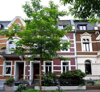 Bad Godesberg, Kolfhausstraße 10