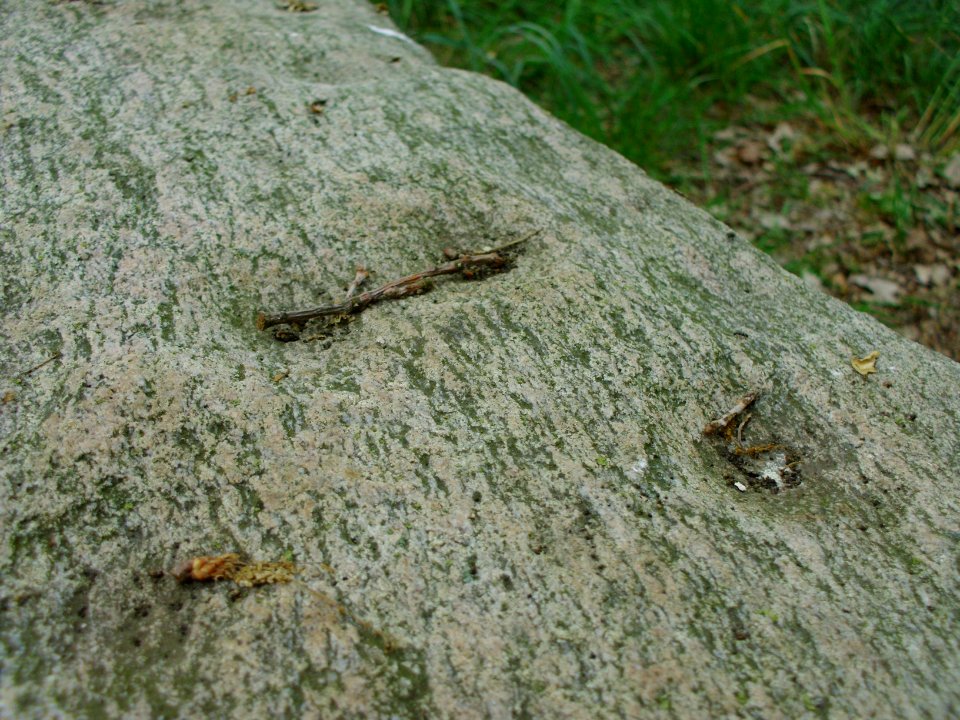 Bargloyer Steinkiste - Deckplatte