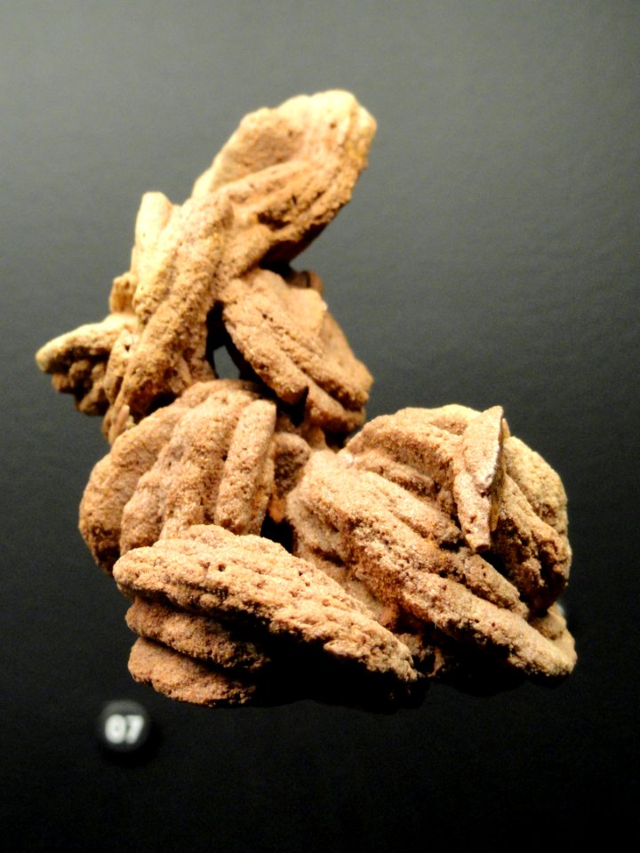 Barite roses, Norman, Oklahoma - Natural History Museum of Utah - DSC07466