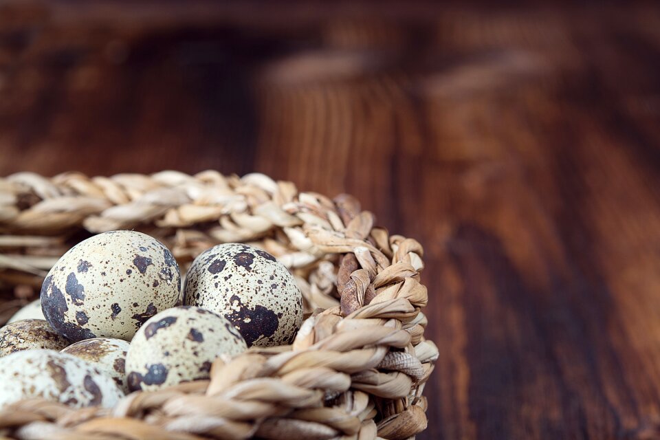 Natural product small eggs close up