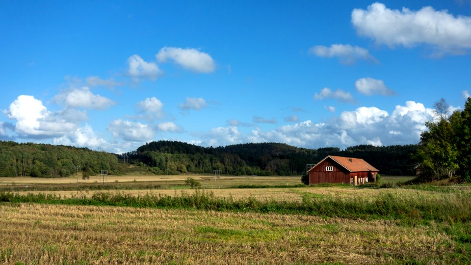 Barn in Färlev 2