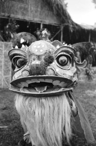 Barong, Bestanddeelnr 1653-7-4