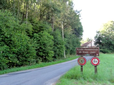 Bar-le-Duc (Meuse) Forêet domaniale du Haut-Juré