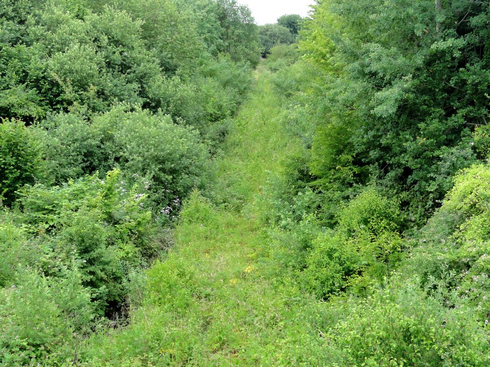 Barisis-aux-Bois (Aisne) ancienne voie ferrée