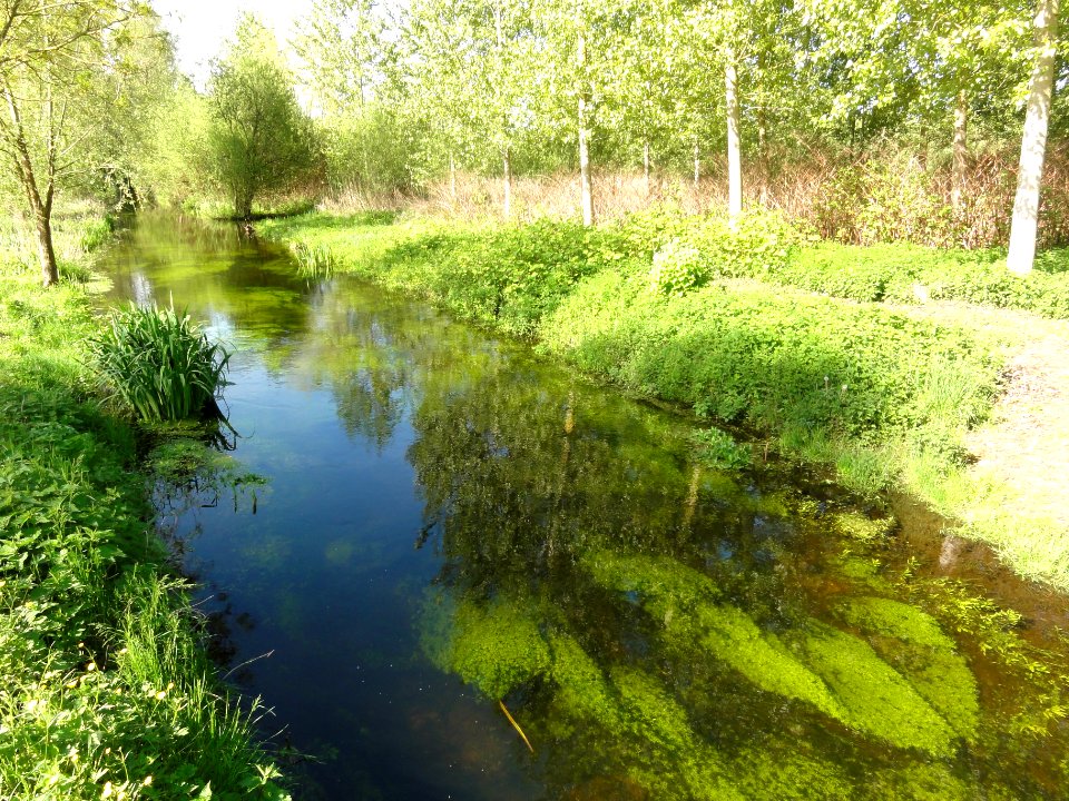 Barenton-Bugny (Aisne) ruisseau des Barentons