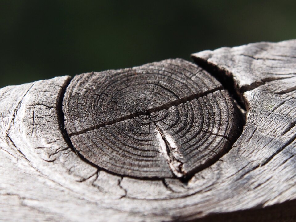 Structure altholz wood core
