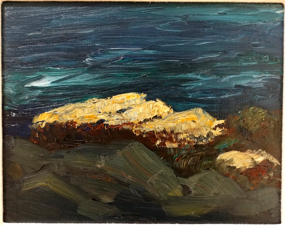 Barnacles on Rocks, by Robert Henri, 1903, oil on panel - Portland Museum of Art - Portland, Maine - DSC04185
