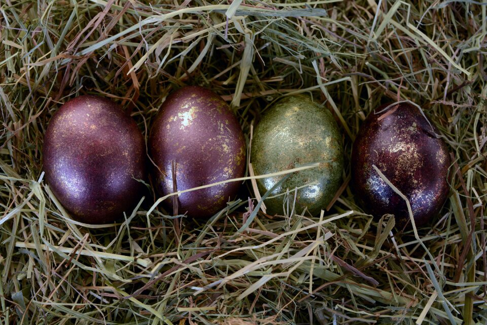 Decoration easter decoration happy easter