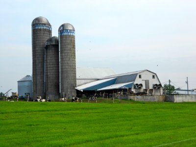 Barn Southampton TWP FranCo PA off Orrstown Rd