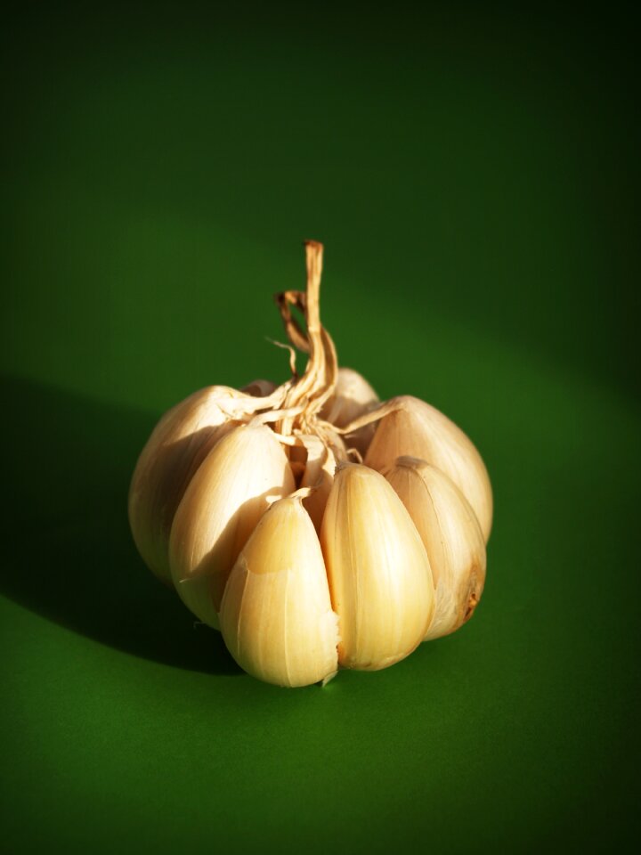 White clove closeup