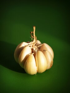 White clove closeup