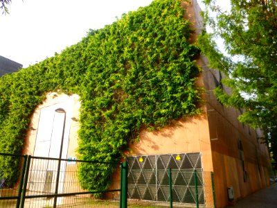 Barcelona - Subestación Tánger de REE-Endesa 2
