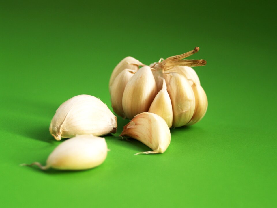 White clove closeup
