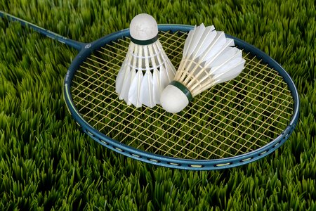 Bat racket leisure