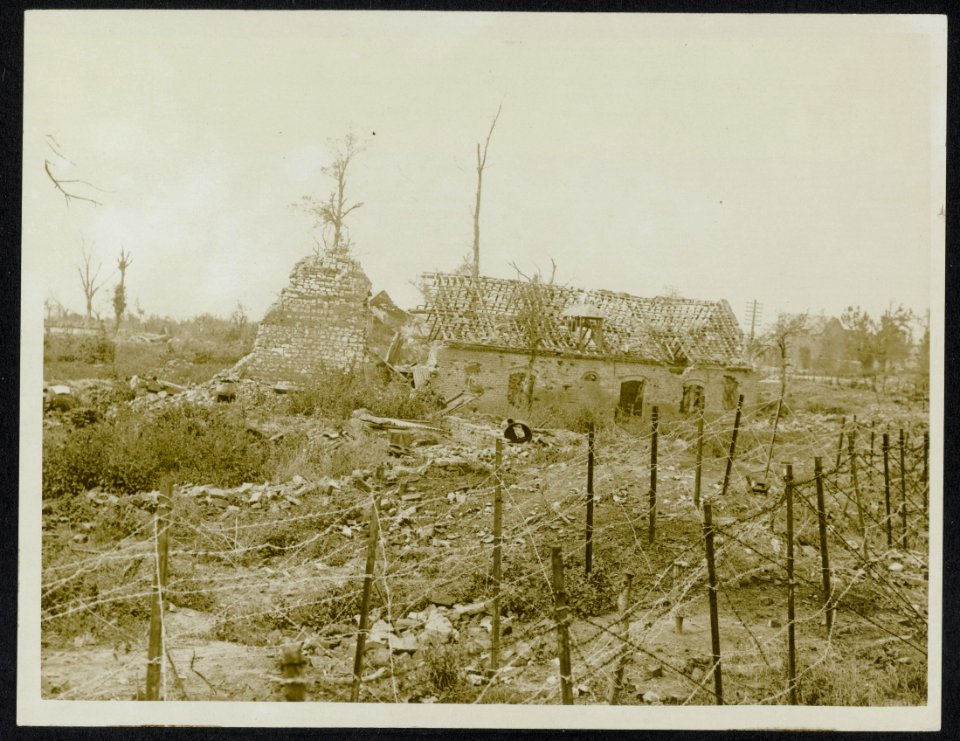 Barbed wire running through ruined village of Mametz, Bestanddeelnr 158-0886