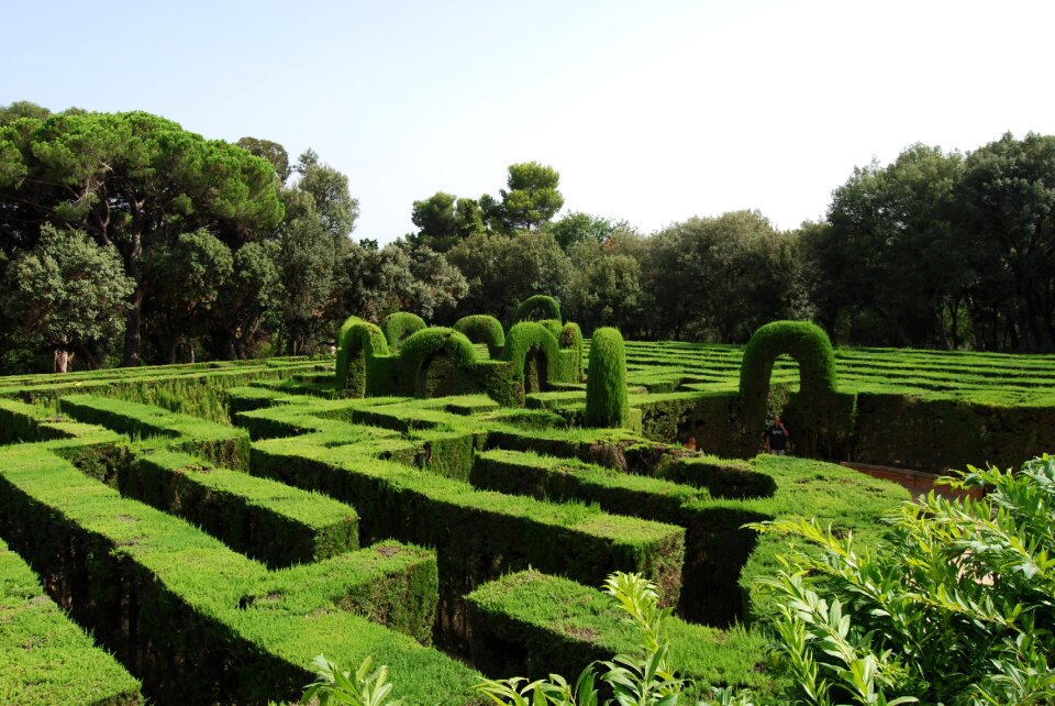 Hedge schlossgarten garden