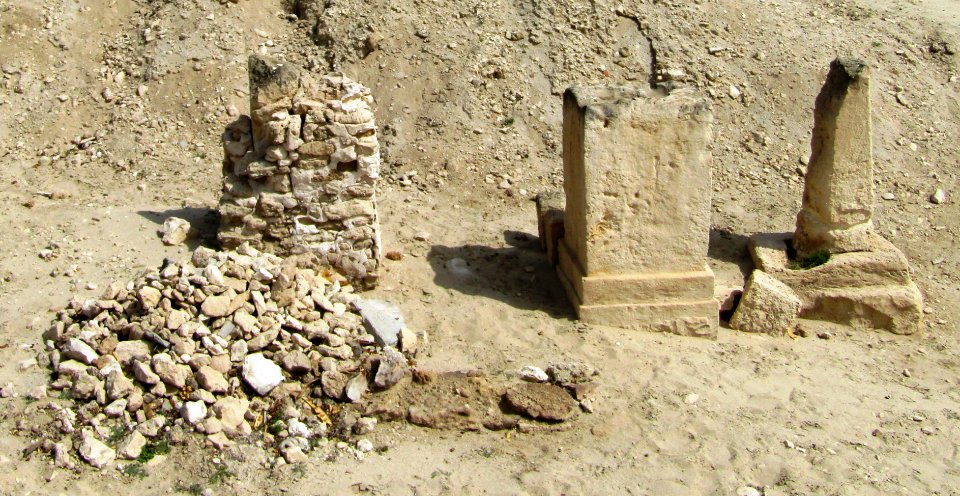 Barbar6