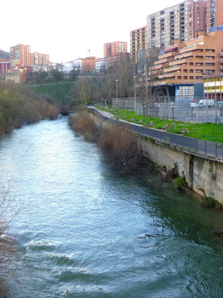 Basauri - Río Nervión 08