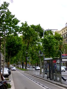 Barcelona - Avinguda Diagonal 05