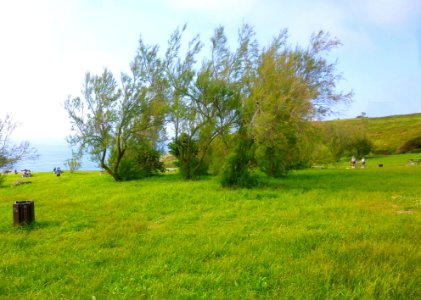 Barrika 29