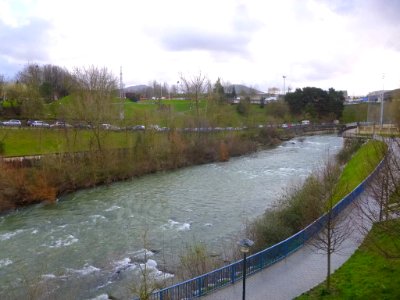 Basauri - Río Nervión 01