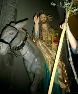 Barbastro - Catedral 24