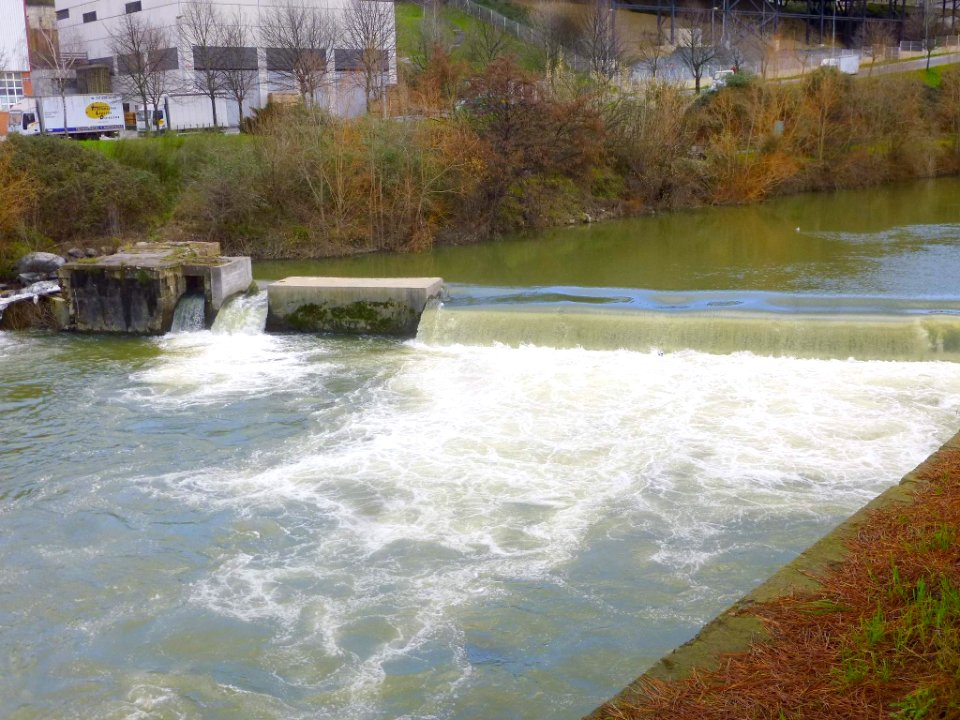 Basauri - Río Nervión 04