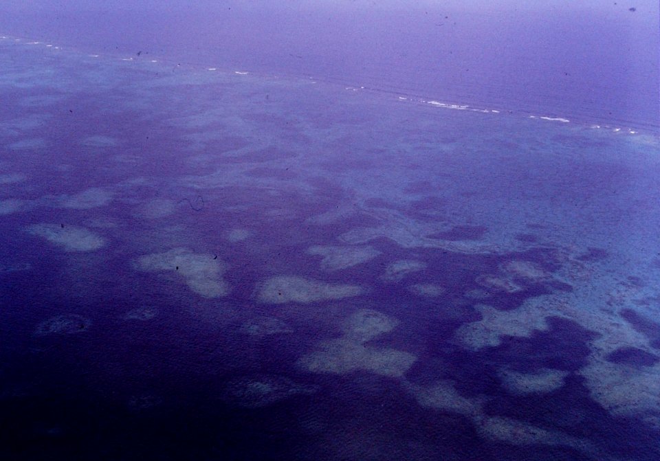 Barrier Reef Andros Island B 1999