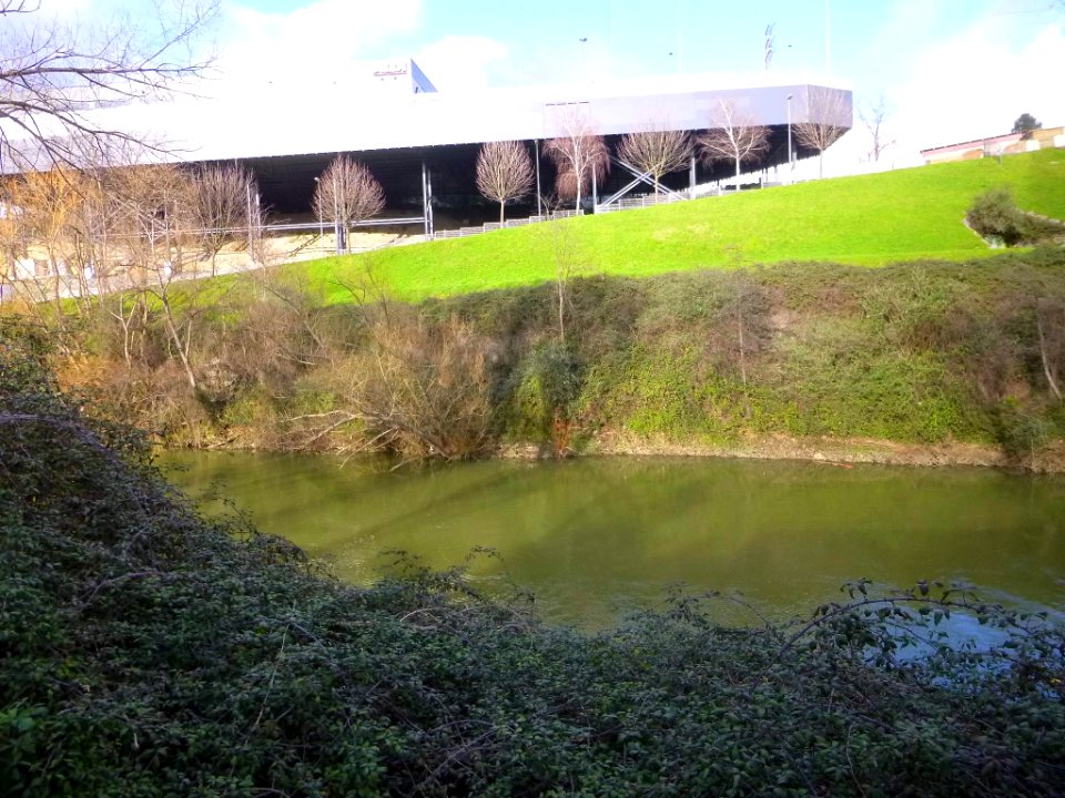 Basauri - Río Nervión 07