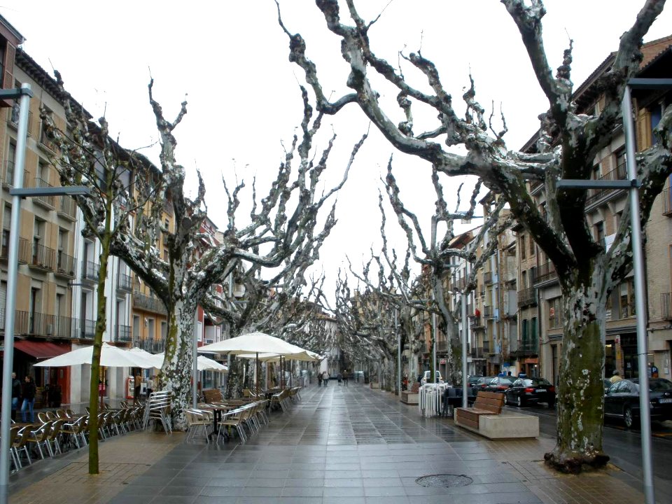 Barbastro - Paseo del Coso 1