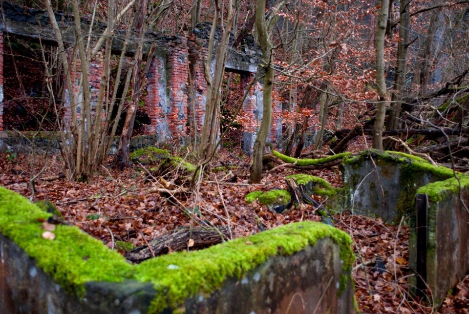 Basaltbrecher Geilnau 3