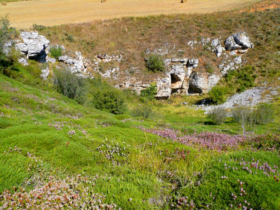 Basconcillos del Tozo - Geosenda El Valle Ciego, dolina de la Cueva del Agua 4