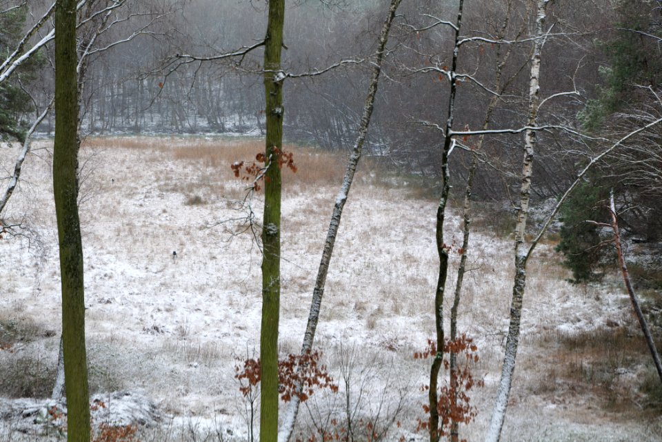 Barssee with snow 2021-01-03 07