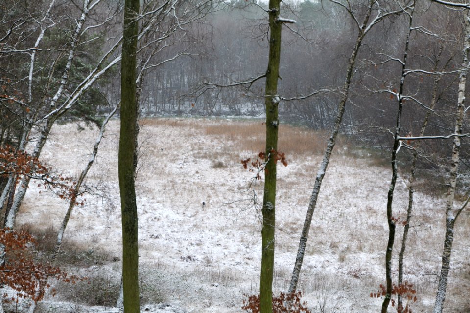 Barssee with snow 2021-01-03 10