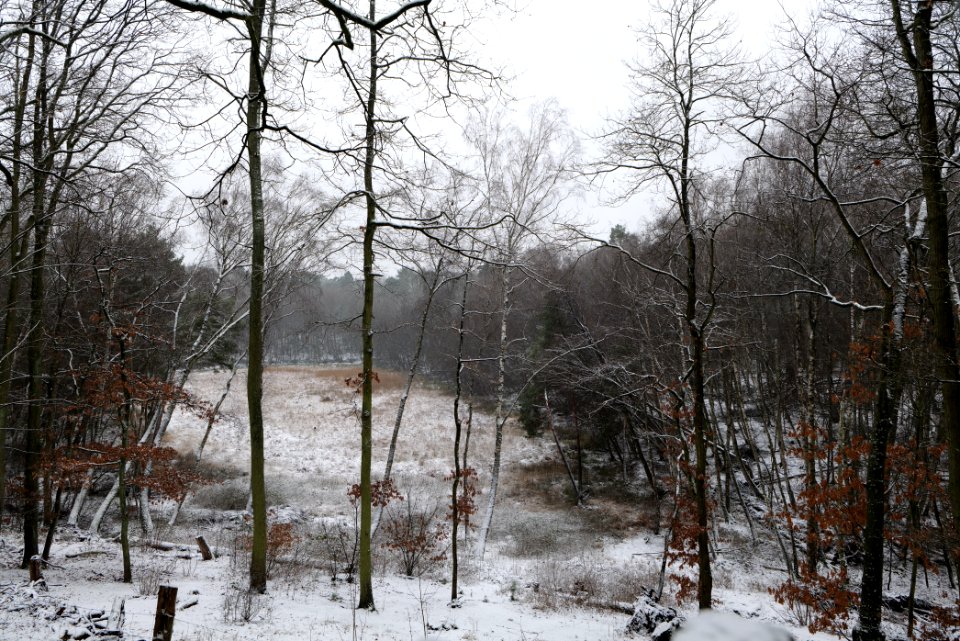 Barssee with snow 2021-01-03 03