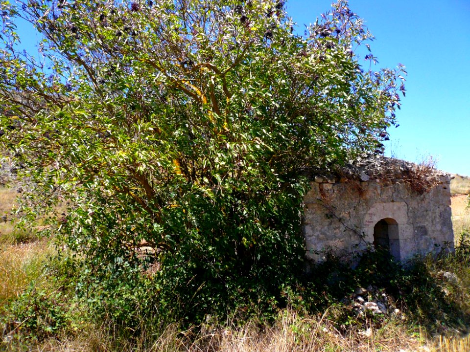 Basconcillos del Tozo - Geosenda El Valle Ciego, Ermita de las Ánimas 4