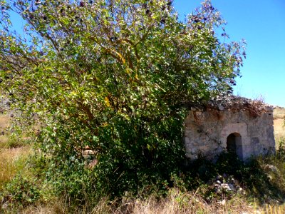 Basconcillos del Tozo - Geosenda El Valle Ciego, Ermita de las Ánimas 4