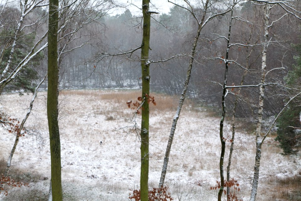Barssee with snow 2021-01-03 01