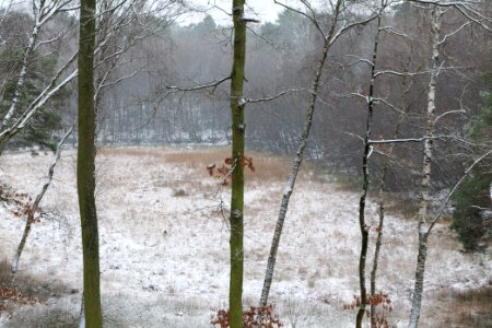 Barssee with snow 2021-01-03 01