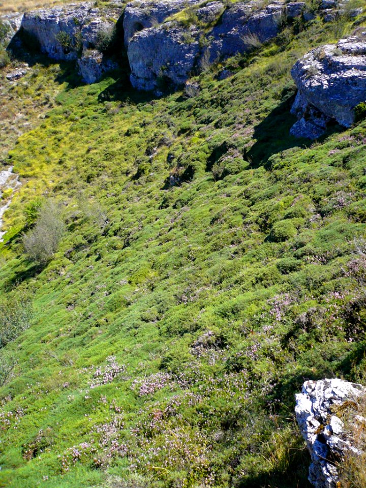 Basconcillos del Tozo - Geosenda El Valle Ciego, dolina de la Cueva del Agua 3