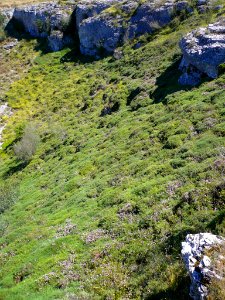 Basconcillos del Tozo - Geosenda El Valle Ciego, dolina de la Cueva del Agua 3