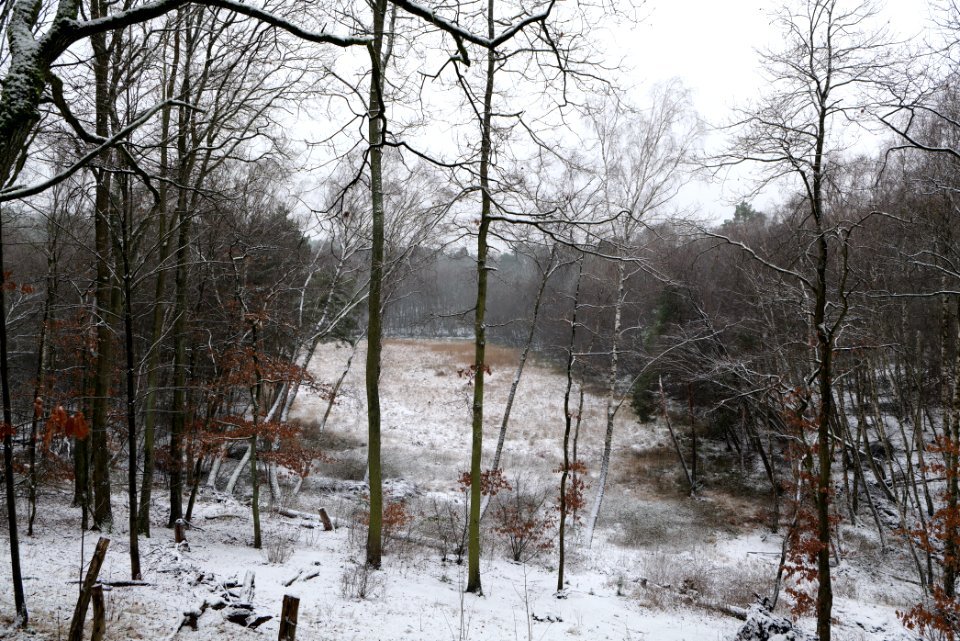 Barssee with snow 2021-01-03 08
