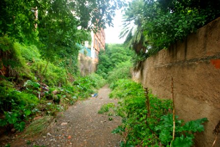 Barranc dels Gossos