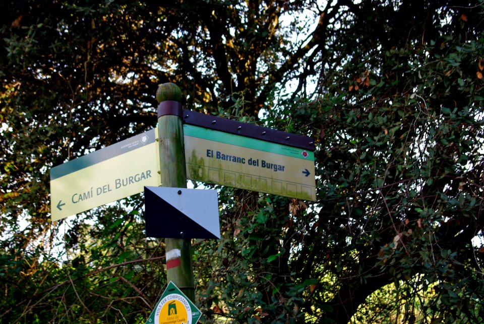 Barranc del Burgar1